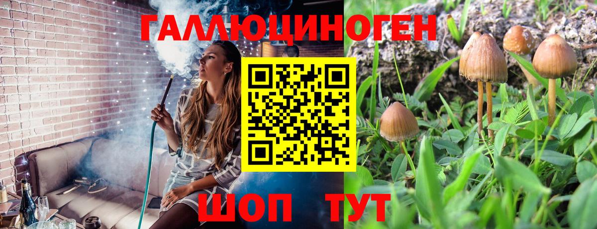 Псилоцибиновые грибы мицелий  Вход с VPN  Фурманов 