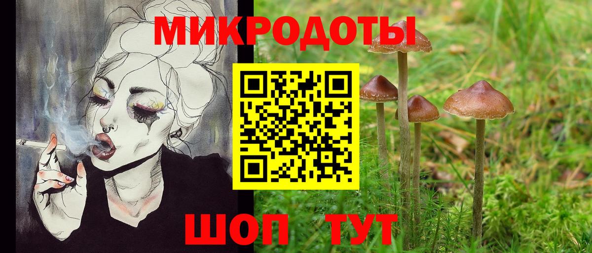Галлюциногенные грибы прущие грибы Фурманов