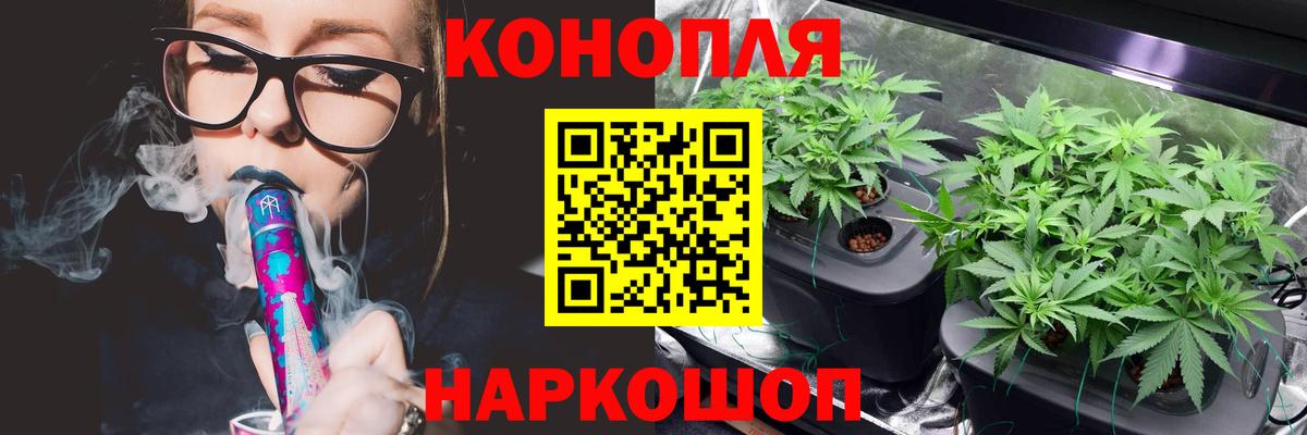 Каннабис планчик Фурманов